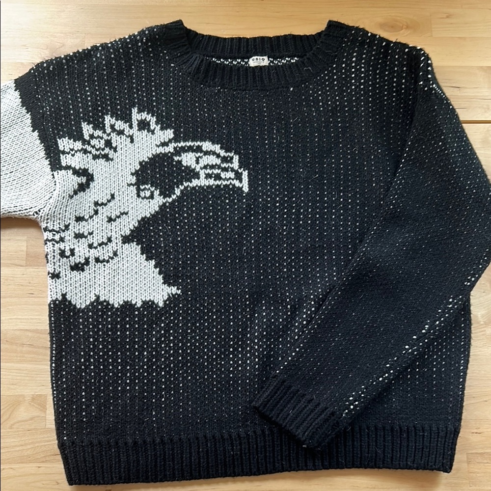 EUC! Eagle Graphic Sweater